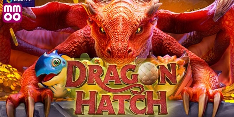 Trải nghiệm hình ảnh sống động của dragon hatch slot